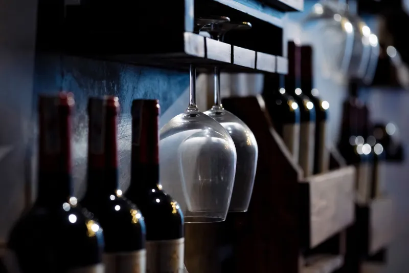 What the Darkness Knows: The Hidden Science of Storing Your Most Valuable Spirits